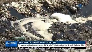 Alertă maximă la Cluj Groapa de gunoi de la Pata Rât a poluat un pârâu cu lichid toxic [upl. by Kelula]