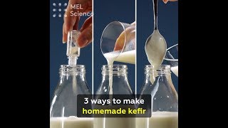 3 ways to make homemade kefir [upl. by Irianat]