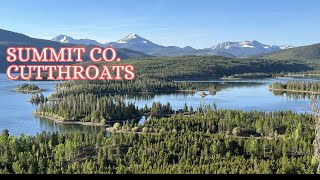 Summit Co Cutthroats  June 2024 [upl. by Suraved137]