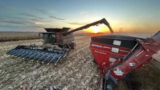 Picking 136k Bushel of White Corn In 3 Days With One Case IH 9250 To Finish Harvest 2023 S4 E49 [upl. by Atiuqihs803]