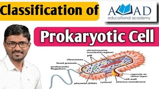 Cellclassification of prokaryotic cell  gram staining Part 2 । cell structure awad educational [upl. by Enerahs]