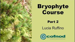 Bryophyte Course Part 2 [upl. by Shuma]