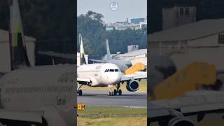 volaris aviation aircraftvideos aeropuertolaaurora planespotting landing airlines [upl. by Fontes606]