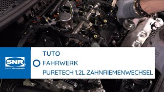 TUTORIAL Zahnriemenwechsel bei einem Puretech 12l Motor [upl. by Ayadahs]