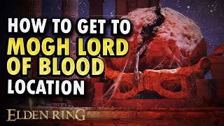 How to Get to Morg Lord of Blood Boss Location Guide [upl. by Webb513]