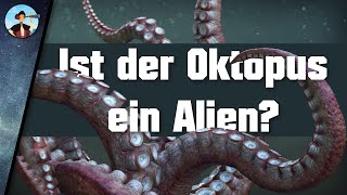 33 Forscher behaupten quotDer Oktopus ist ein außerirdisches Lebewesenquot [upl. by Ynney]