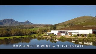 Going Places  Morgenster Olive amp Wine Estate [upl. by Darlene73]