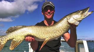 5 Fischen  Angeln  Schleppen auf Hecht im Bodensee [upl. by Fina351]