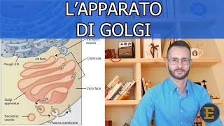 23 Lapparato di Golgi 230 minuti [upl. by Robina874]