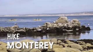 Take a Hike in Monterey County [upl. by Eegnat]