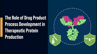 The Role of Drug Product Process Development in Therapeutic Protein Production [upl. by Nedloh]