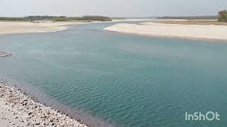 Dolphin in Karnali river Nepal [upl. by Ik663]