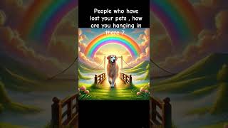 doglovers doggone rainbowbridge love music [upl. by Raimondo]