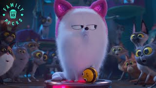 Gidget Saves Busy Bee and Max Saves Cotton  The Secret Life of Pets 2 [upl. by Ivory]