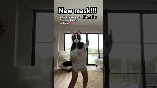 She’s so cute ☺️ newmask frenchbulldog cute furry therian christian doglover antizoo [upl. by Amiaj]