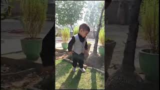 newsong punjabi trendingshorts trending kuber brar sardari garden delhi public [upl. by Karie68]