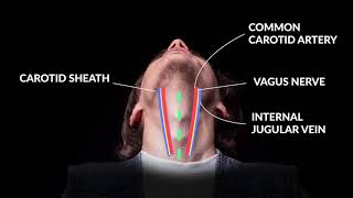 How to Perform An Emergent Cricothyrotomy Emergency Medicine  Your Design Medical [upl. by Grannia]