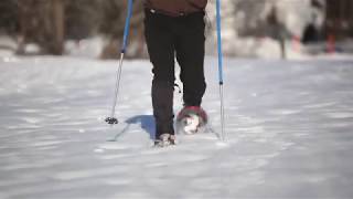 HowtoSnowshoe Learn the basics from the experts  LLBean [upl. by Dnalro]