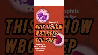 THIS IS HOW WBC KEEP YOU SAFE shorts short trending trendingshorts reels subscribe [upl. by Myrtle]