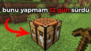 Minecraftın En Zor Modunu Oynadım [upl. by Sayles611]