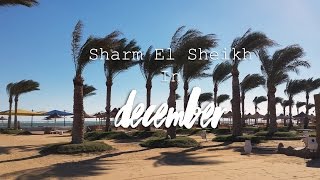 Egypt Sharm El Sheikh December [upl. by Eiramrebma]