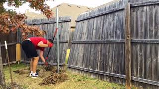 Fence Repair  Replace broken wood fence post [upl. by Aitret237]