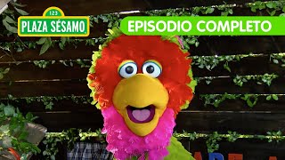 Plaza Sésamo ¿Abelardo podrá ganar el concurso de su programa favorito  Episodio Completo [upl. by Liagibba]