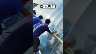 Después de todo ¿por qué los chinos están prendiendo fuego al oleoducto😮 shortsvideo [upl. by Akcira]