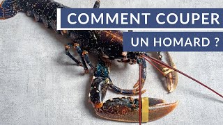 Comment couper un homard en deux vivant  🦞 [upl. by Treat]