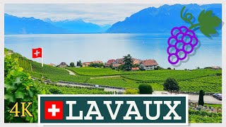 Lavaux Vineyards VD Switzerland 4K [upl. by Trojan]