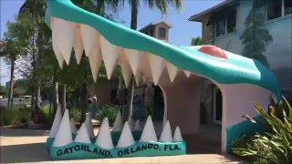 4K Gatorland Orlando Walkthrough POV [upl. by Arakal]