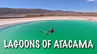 Hidden Lagoons of Baltinache OR Laguna Cejar amp Piedra at Atacama [upl. by Leaper]