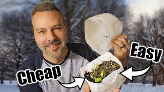 Winter Sowing Seed Starting the EASY amp CHEAP Way 🌱 ❄️🌱❄️🌱 [upl. by Annahsal]