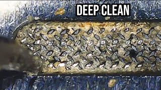 DeeplyCleaning Clogged Speakers How Phones are Professionally Cleaned [upl. by Hokanson]