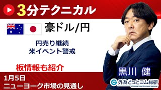 豪ドル円見通し 「円売り継続、 米イベント警戒」見通しズバリ！3分テクニカル分析 ニューヨーク市場の見通し 2024年1月5日 [upl. by Yrelav]