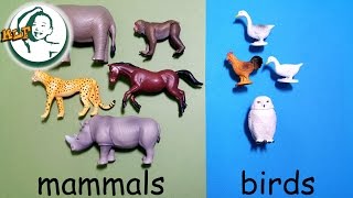 Learn animal classification and animal sounds for kids with Tomy Ania Animal part 2 アニア アニマルだ [upl. by Ahsienor]