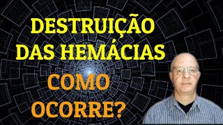 Destruição das hemácias Como ocorre [upl. by Joshi306]