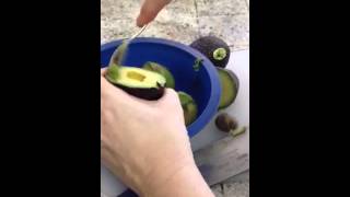 How to peel an avocado [upl. by Annaig]