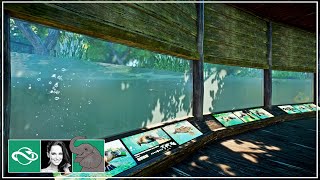 🐘 Creating an Amazing Platypus Habitat with Underwater Viewing in City Zoo  Planet Zoo [upl. by Akcemat]