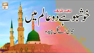 Khushbu hai Do Aalam Mein Teri Aye Gule Chida  Naat  Muhammad Burhan [upl. by Adyht]