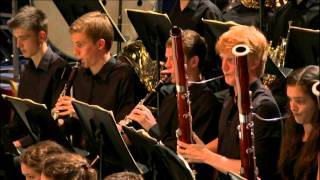 Beethoven  Symphony No 9 in D minor Op 125  Petrenko [upl. by Amethyst650]