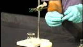 Organic Chemistry Lab Demo Isolation of Limonene part 2 [upl. by Ramon]