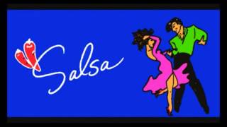 SALSA  SOY EL LADRON DE TU AMOR [upl. by Aicylla]