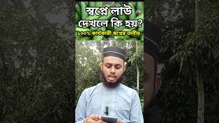 স্বপ্নে লাউ দেখলে কি হয়  স্বপ্নে কদু দেখলে কি হয়  হাফেজ বাহাউদ্দিন আলিফ  Sopne law dekle ki hoi [upl. by Esau]