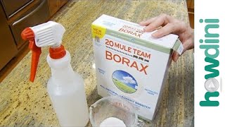 How to Kill Mold with Borax [upl. by Chris755]