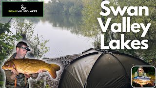 HUNT FOR A YATELEY SWAN VALLEY 40lber [upl. by Gerita266]