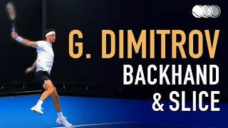 Grigor Dimitrov  Court Level Practice Backhand amp Backhand Slice Slow Motion 2021 240fps [upl. by Hearn]