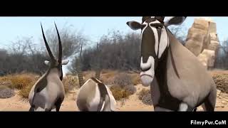 khumba  animated movie \ Hindi dubbed ✓ [upl. by Enriqueta]