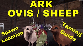 ARK Ovis Sheep taming guide  How to find a OvisSheep  SHH ITS A SECRET [upl. by Levenson]