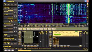 747 kHz TransPacific DX Radio Reception from JOIB NHK Japan in Michigan on Perseus SDR [upl. by Oirevlis789]